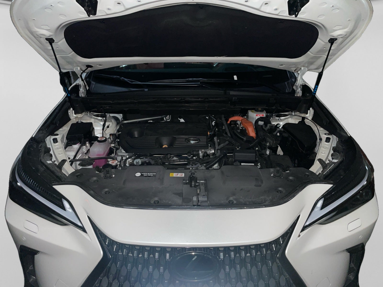 2024 Lexus LEXUS NX 350H AWD LUXURY