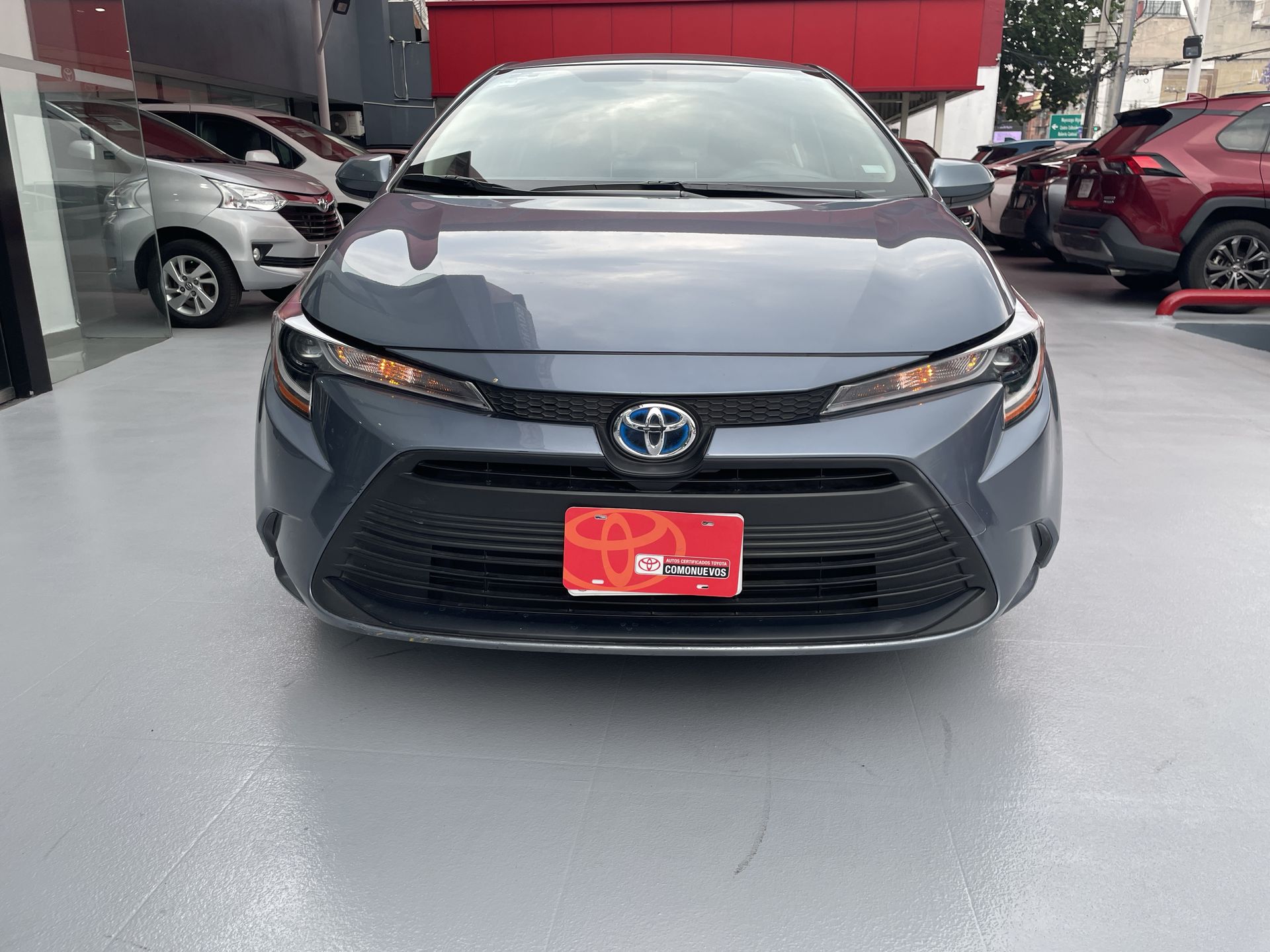 2024 Toyota COROLLA LE HEV