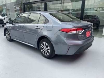 2024 Toyota COROLLA LE HEV