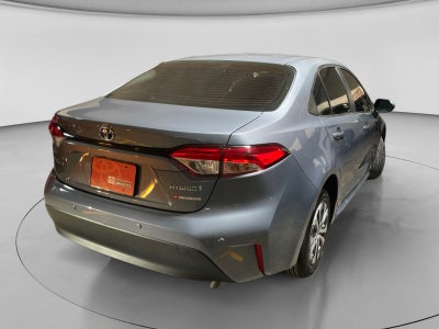 2024 Toyota COROLLA LE HEV