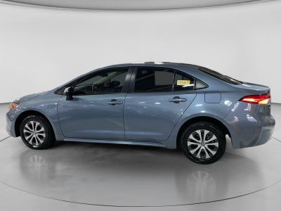 2024 Toyota COROLLA LE HEV