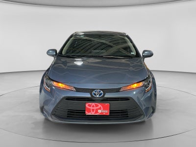 2024 Toyota COROLLA LE HEV
