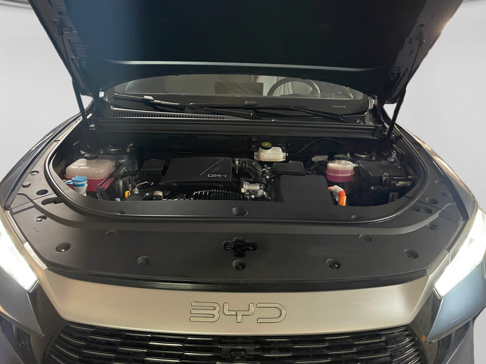 2025 BYD DOPLHIN DM-I 1.5L FWD