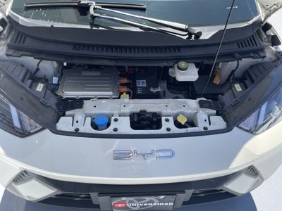 2025 BYD DOPLHIN 4 SEATS 380KM