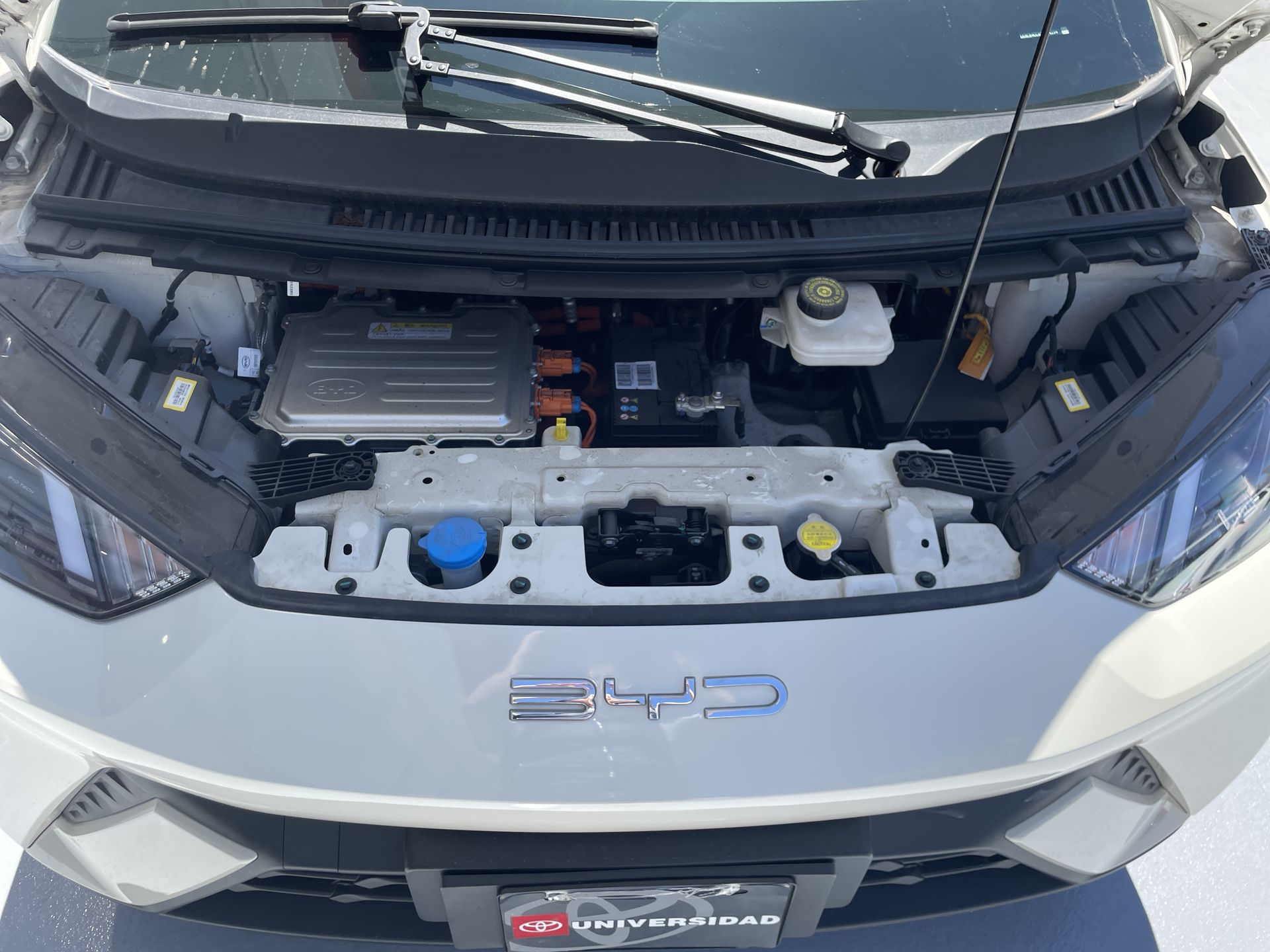 2025 BYD DOPLHIN 4 SEATS 380KM