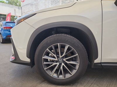 2025 Lexus LEXUS NX 250 AWD BASE