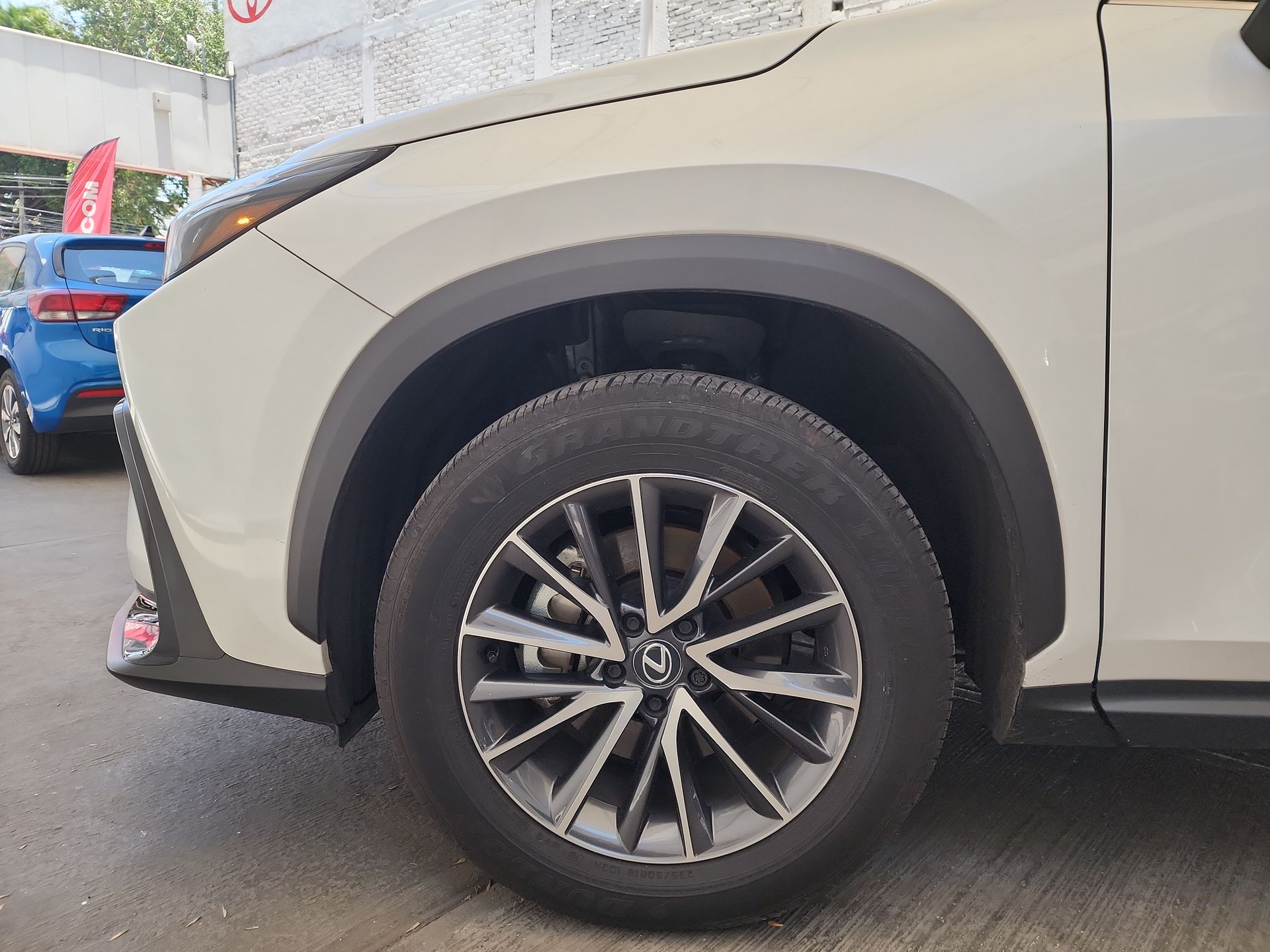 2025 Lexus LEXUS NX 250 AWD BASE