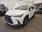 2025 Lexus LEXUS NX 250 AWD BASE