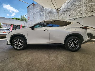 2025 Lexus LEXUS NX 250 AWD BASE