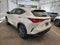 2025 Lexus LEXUS NX 250 AWD BASE