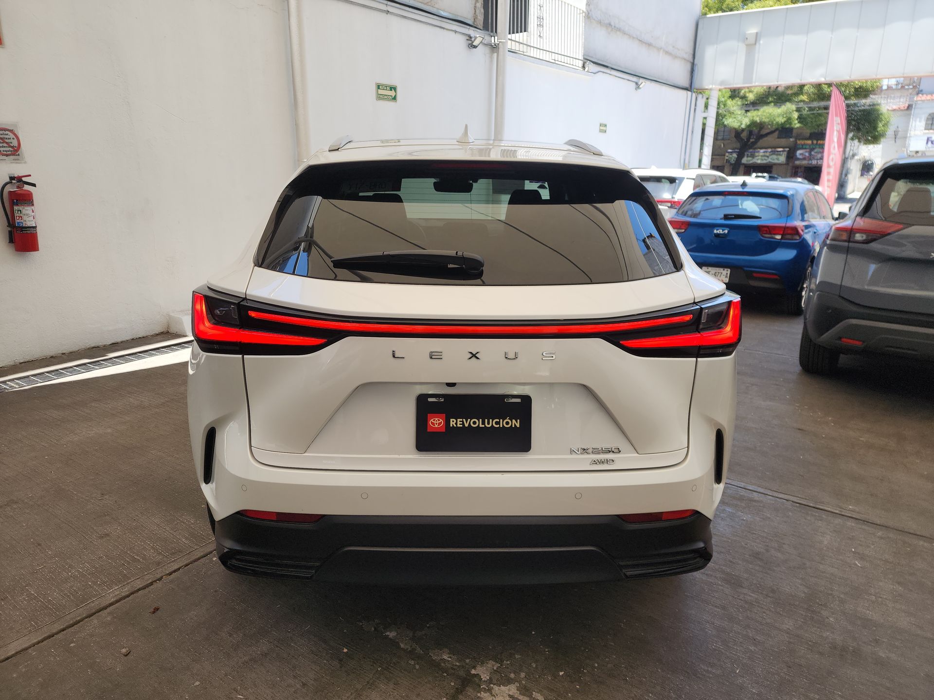 2025 Lexus LEXUS NX 250 AWD BASE