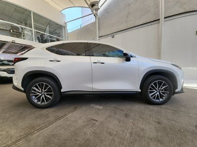2025 Lexus LEXUS NX 250 AWD BASE