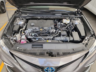 2024 Toyota CAMRY XLE HV