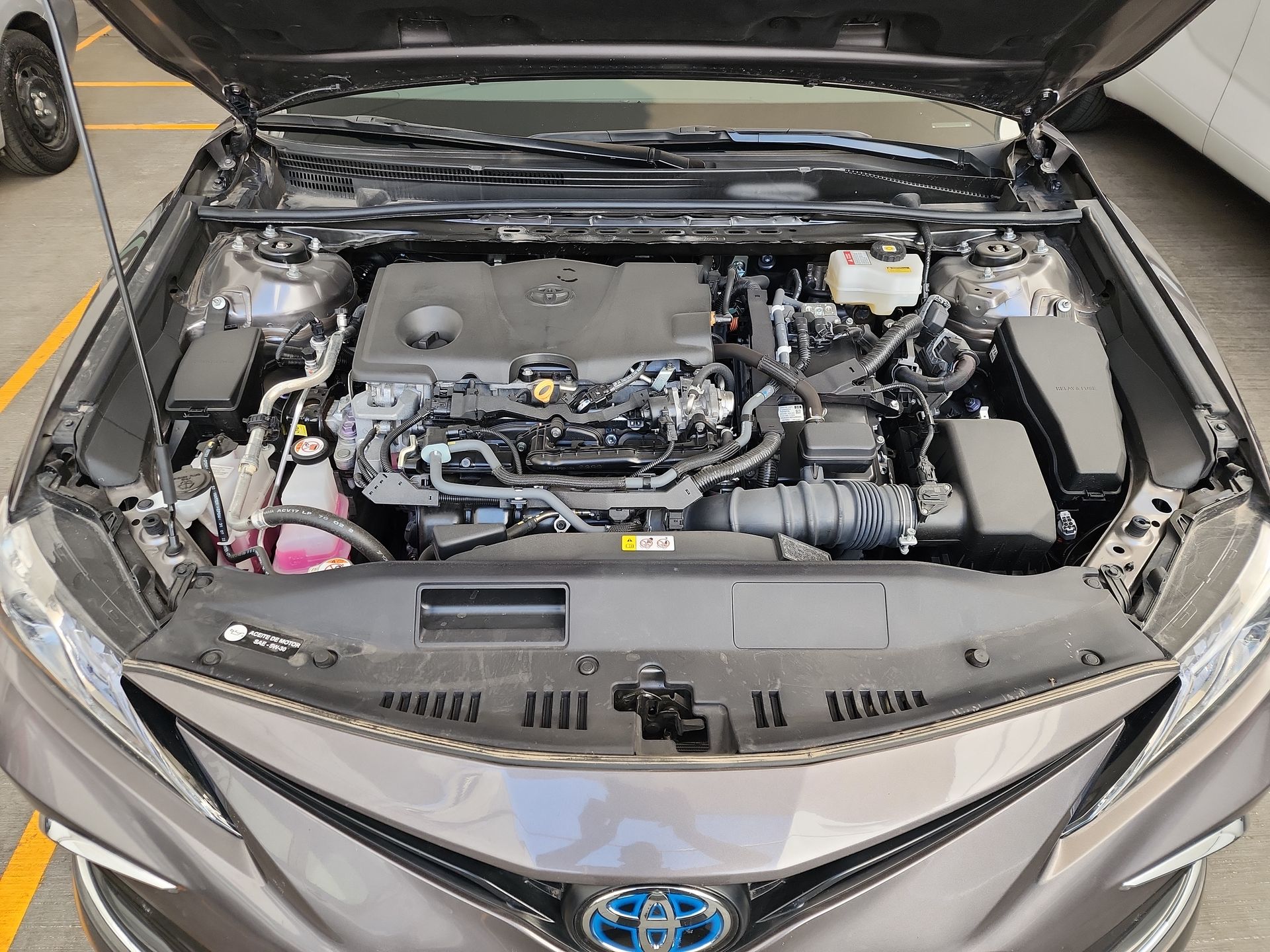 2024 Toyota CAMRY XLE HV