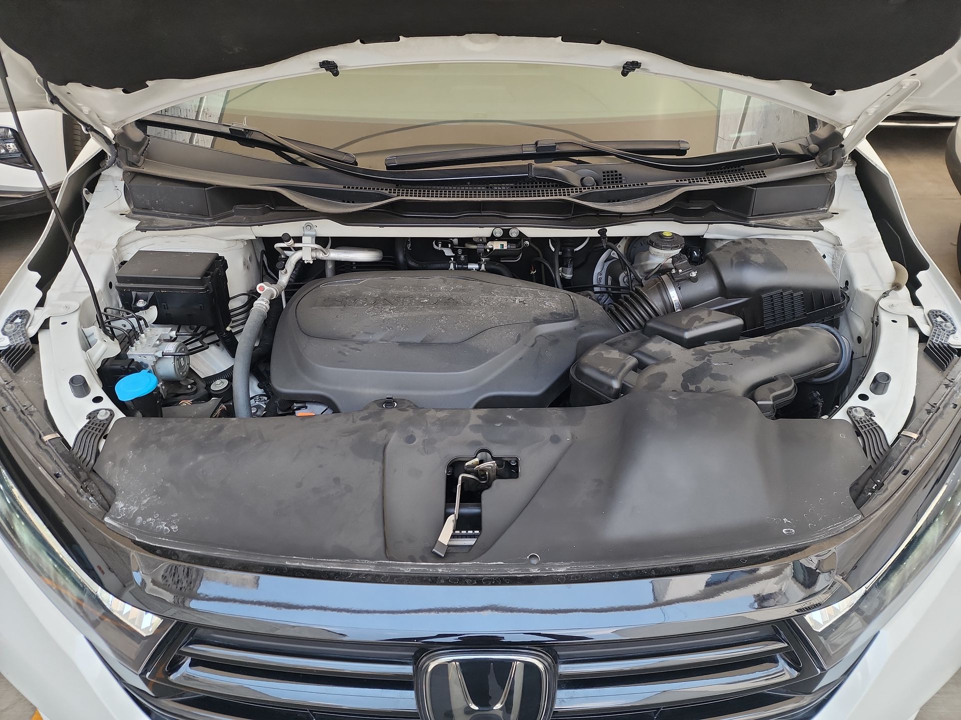 2023 Honda ODYSSEY BLACK EDITION