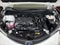 2023 Toyota SIENNA XLE PIEL