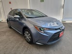 2025 Toyota COROLLA LE HEV