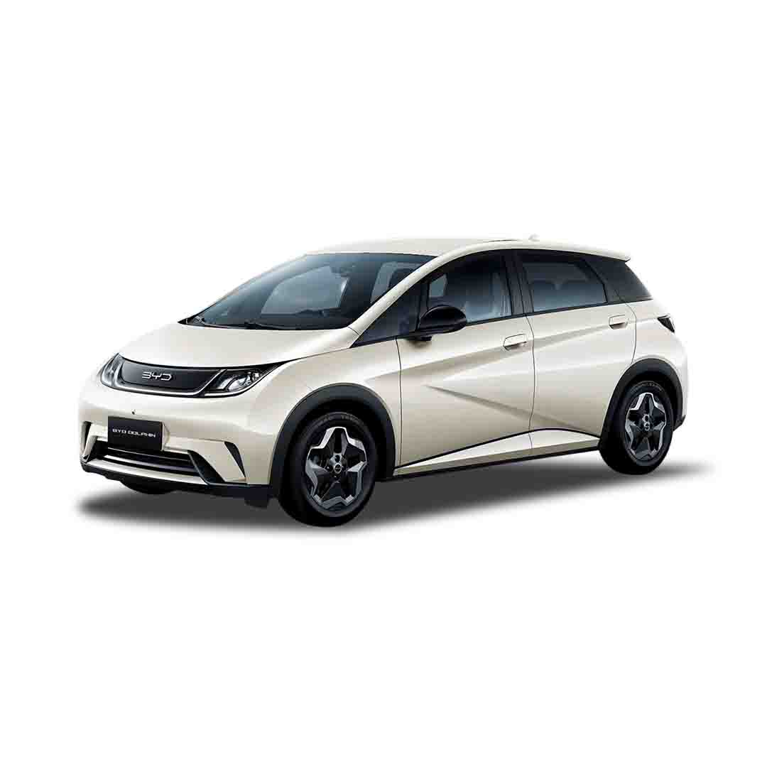 2026 BYD DOLPHIN DOLPHIN MINI 300 KM