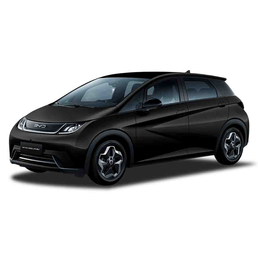 2026 BYD DOLPHIN DOLPHIN MINI 380 KM